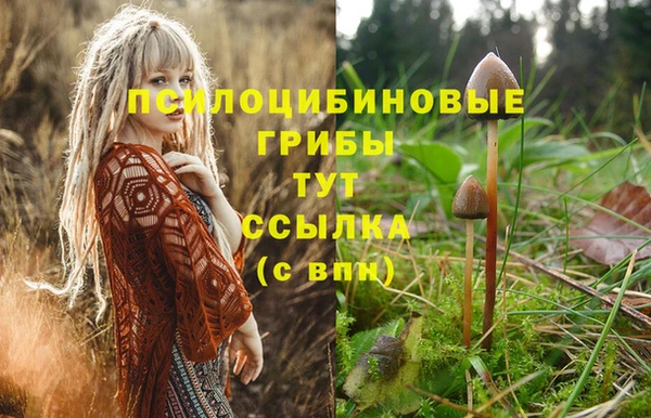 MESCALINE Богородицк